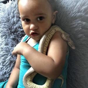 Meet your Posher, Luis